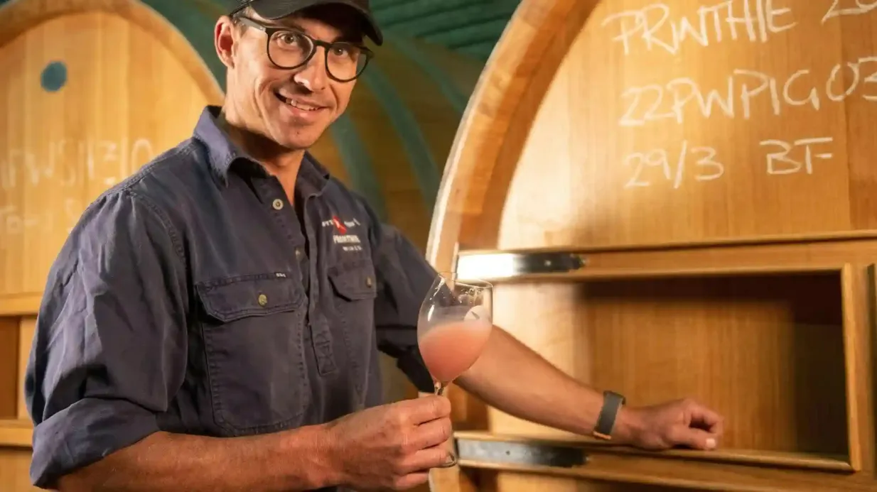 Hunter Valley: Tour guidato in giornata da Sydney + Pranzo e vino + Visita alle cantine