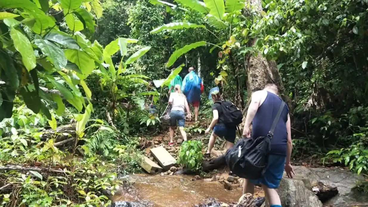 Phuket: Senderismo guiado por el Parque Nacional de Khao Phra Thaeo + Comida + Traslado