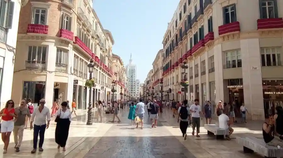 Málaga: Visita guiada a pie + Entrada a la Alcazaba