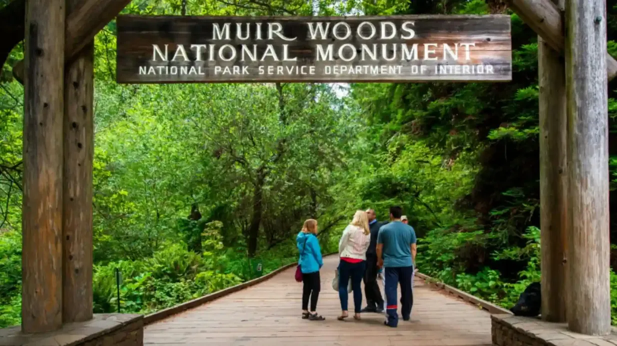 San Francisco: Excursión en Autobús por Muir Woods y en Bicicleta por el Puente Golden Gate