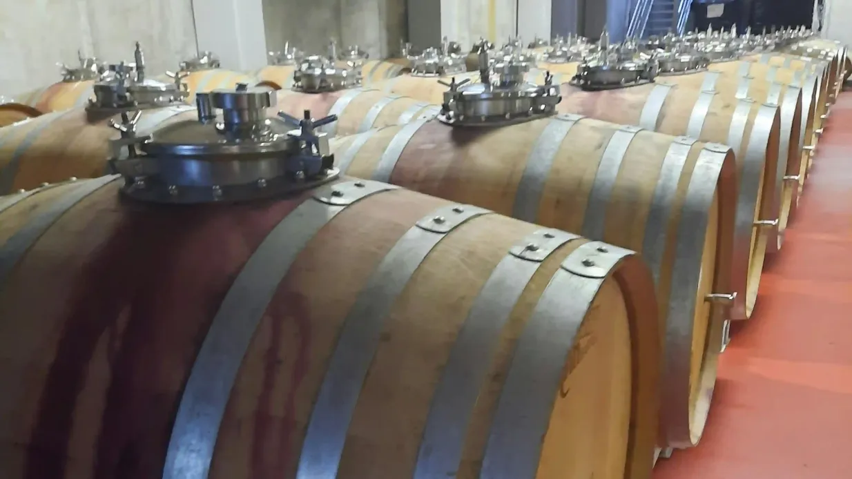 Mallorca: Guided Winery Tour + Transfer + Wine Tasting
