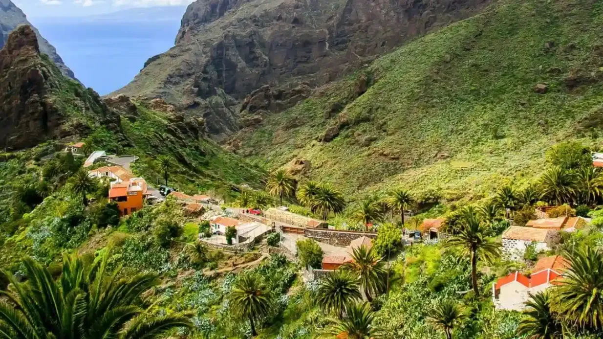 Masca y Teno: Visita guiada en grupo reducido + Traslado + Degustación Operado por El Cardón