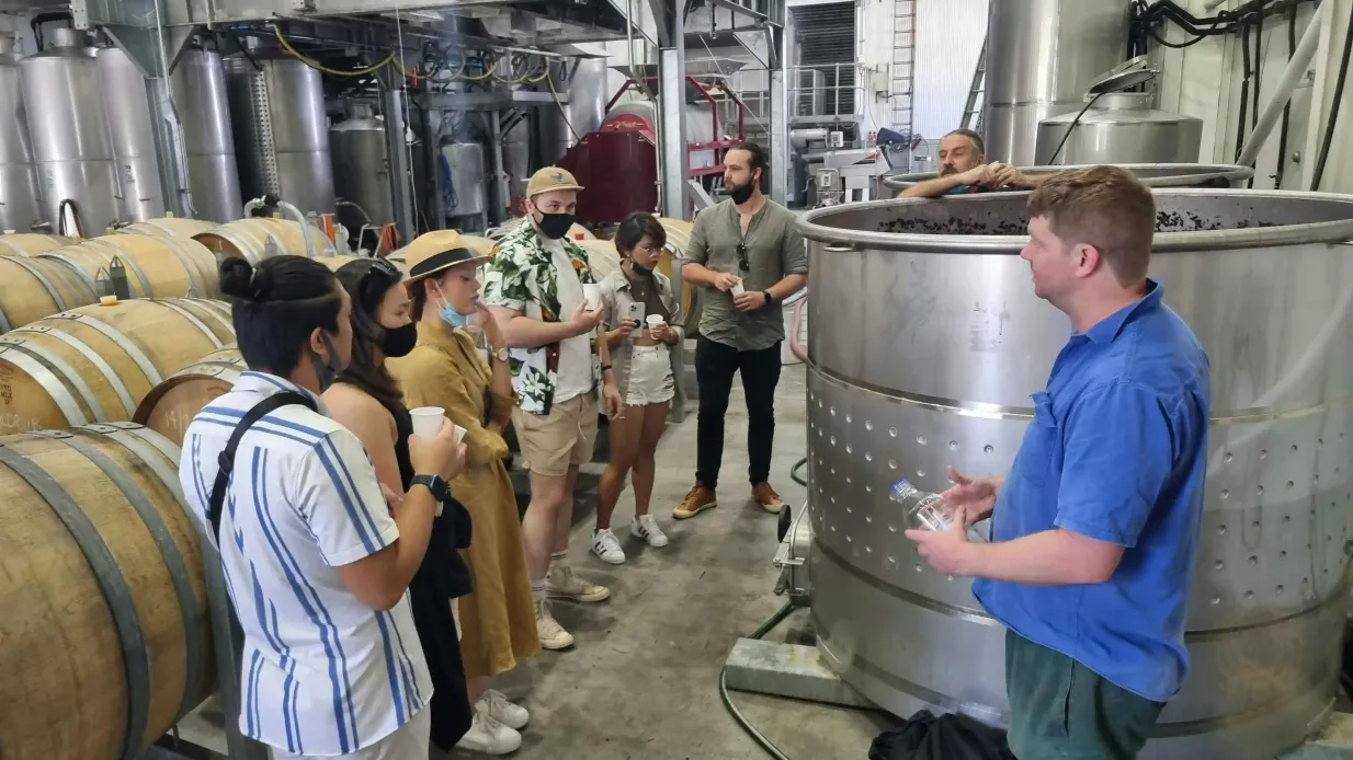 Valle de Hunter: Excursión de un día desde Sydney + Degustaciones + Almuerzo Operado por Dave's Travel Group