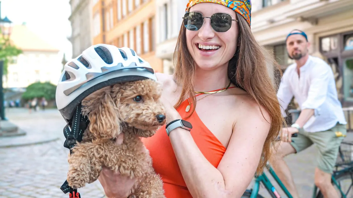 Berlin: E-Bike-Verleih Bereitgestellt von quechulo UG (haftungsbeschränkt)