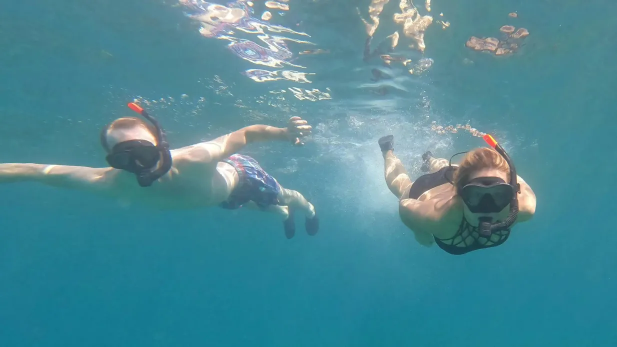 Fuerteventura: Guided Snorkeling Tour + Roundtrip Transfer