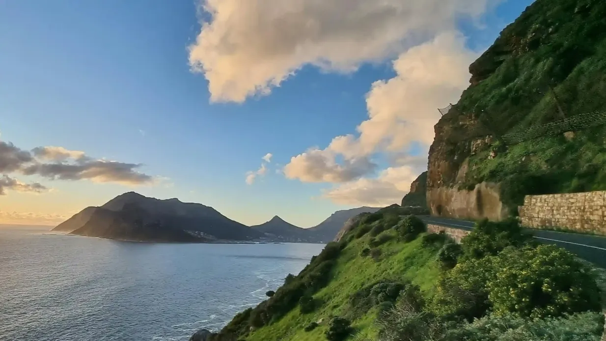 Cape Peninsula: Full-Day Guided Tour + Roundtrip Transfer Provided by Widevision Travel (Pty) Ltd