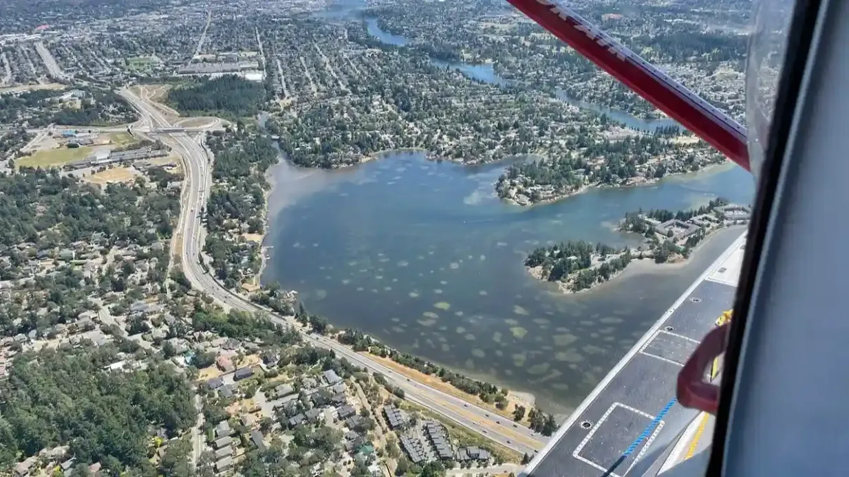 Victoria: Tour mit dem Wasserflugzeug über die Landschaft Bereitgestellt von Harbour Air Seaplanes