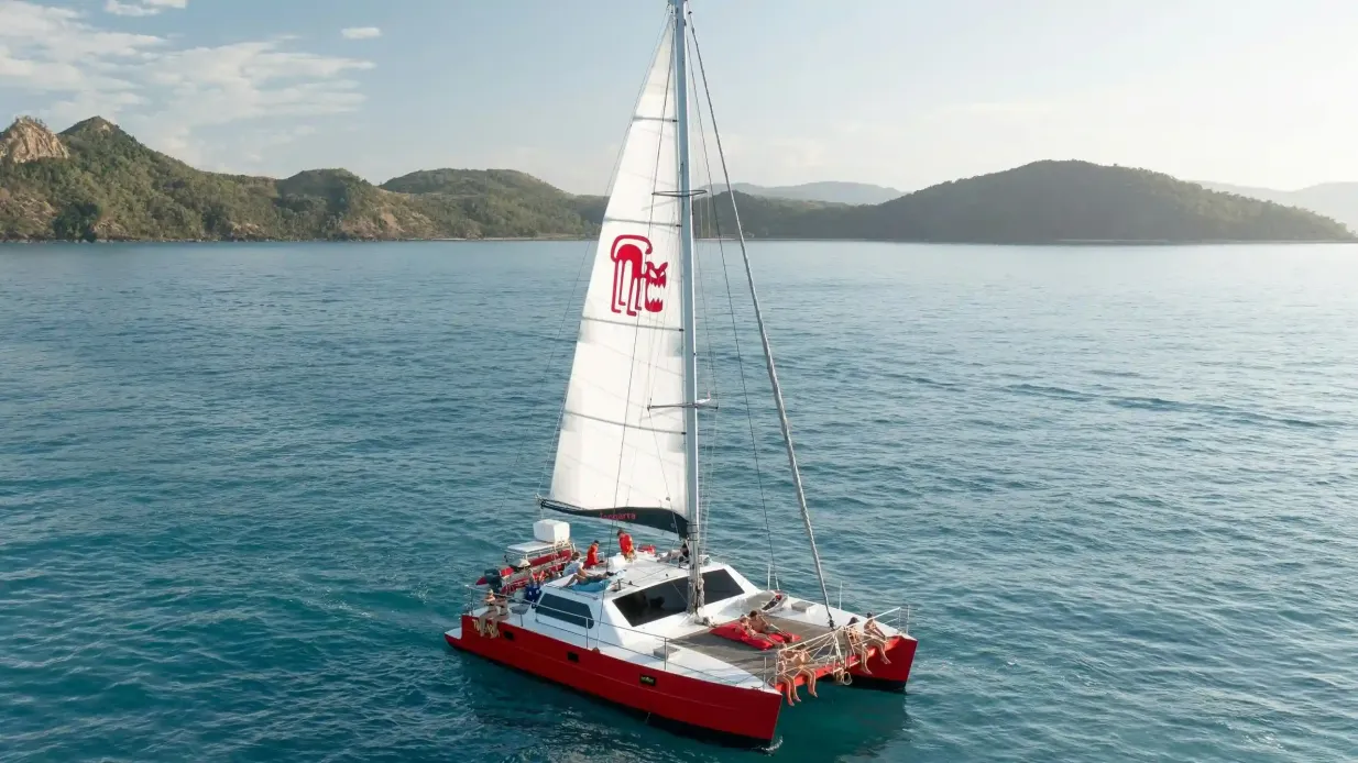 Îles Whitsunday : Excursion à la voile à Tongarra au départ d'Airlie Beach Fournie par Curtis Island Services Pty Ltd
