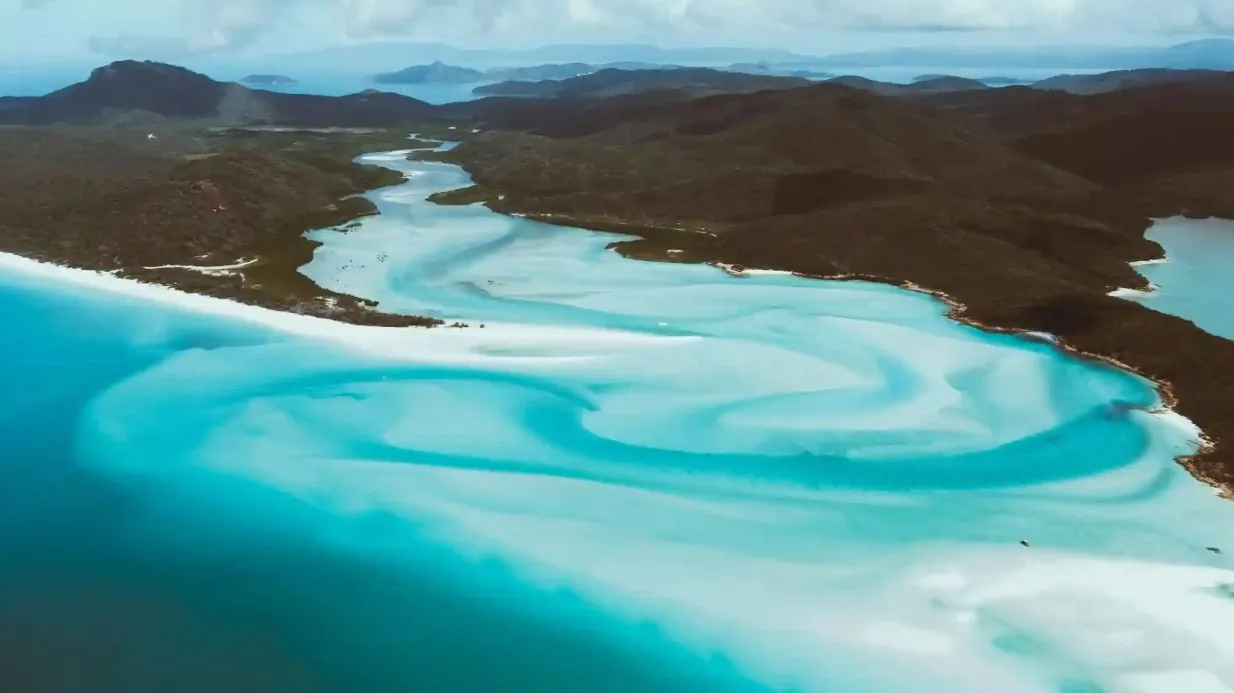 La Grande Barrière de Corail et la plage de Whitehaven : Excursion guidée de plongée en apnée au départ d'Airlie Fournie par Iconic Whitsunday Adventures
