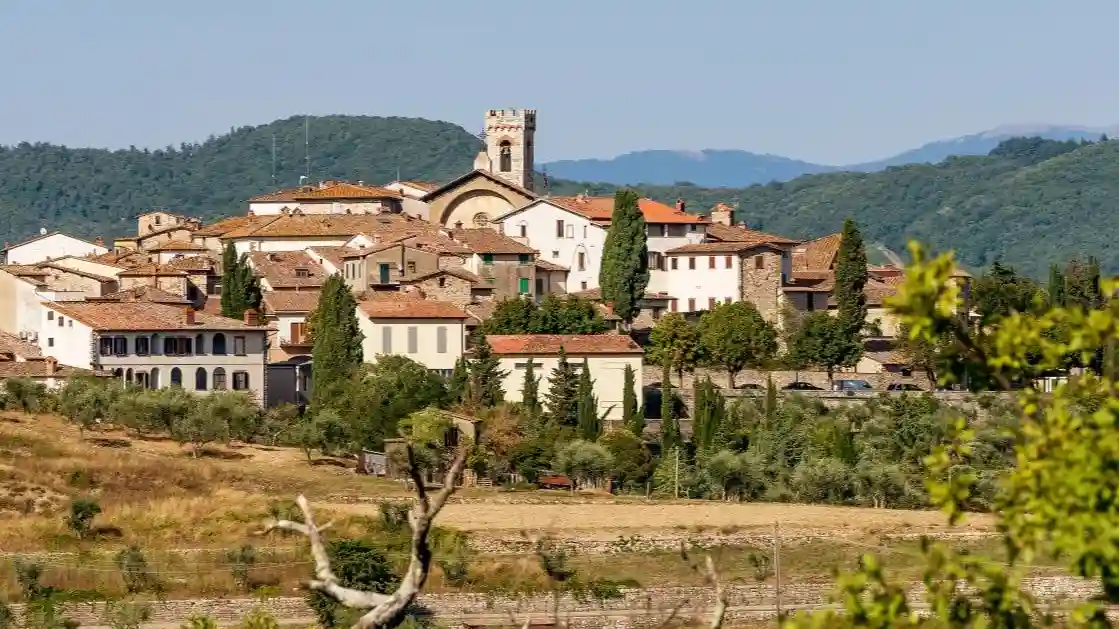 Chianti : visite guidée depuis Sienne + dégustation de vin et d'huile d'olive
