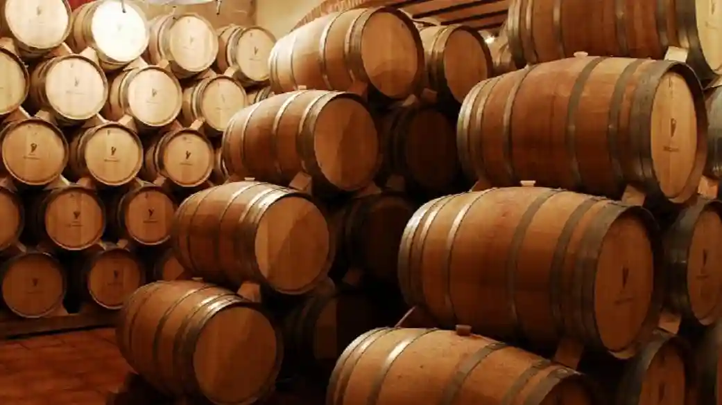 Alcalá de Henares: Visita Guiada a la Ciudad y Bodegas desde Madrid + Cata de Vinos