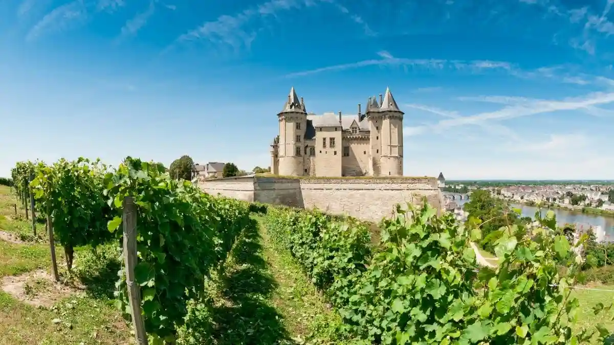 Valle del Loira: Visita guiada a los viñedos de Chinon y Bourgueil desde Tours + Degustación de vinos Operado por Ophorus