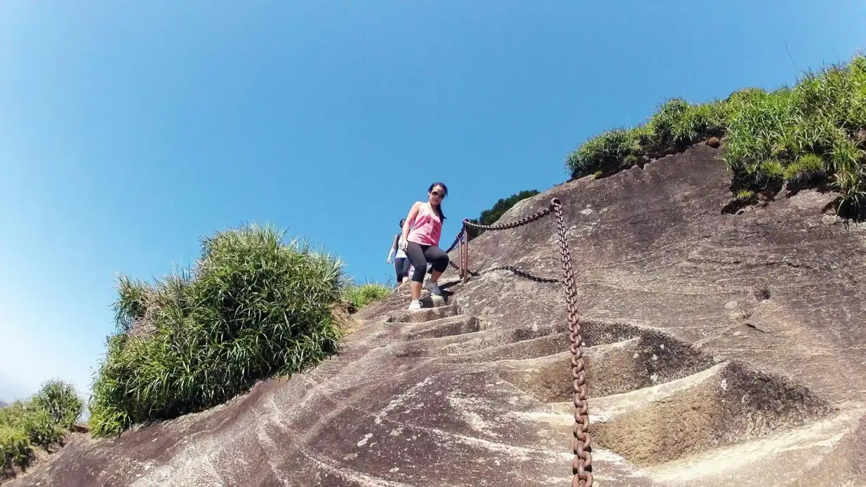 Pico de Tijuca: Excursión Guiada + Traslado Hotel