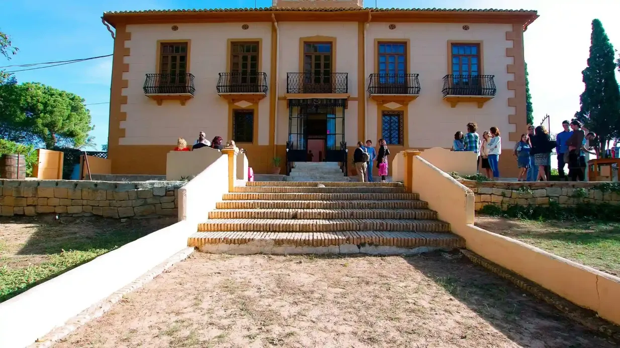 Utiel-Requena-Weinberge: Geführte Tour ab Valencia + Weinverkostung