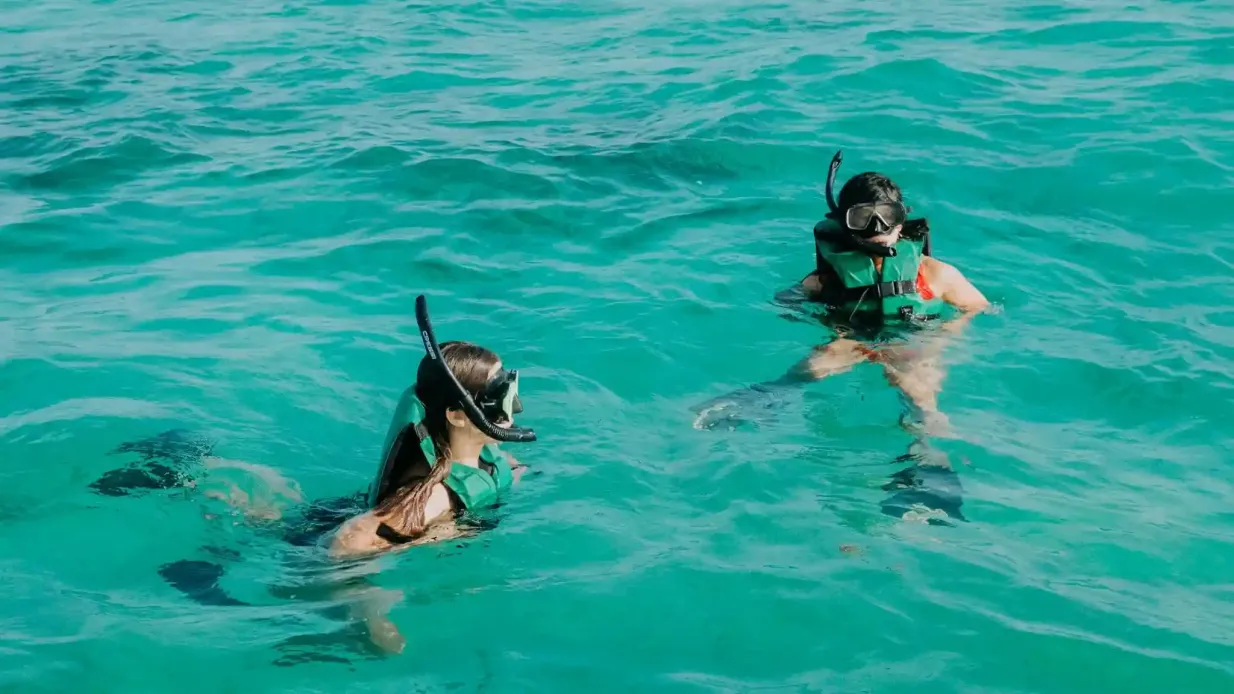 Tulum: Excursión guiada de snorkel y cenotes + Traslado + Comida Operado por MEXICO KAN TOURS SA DE CV