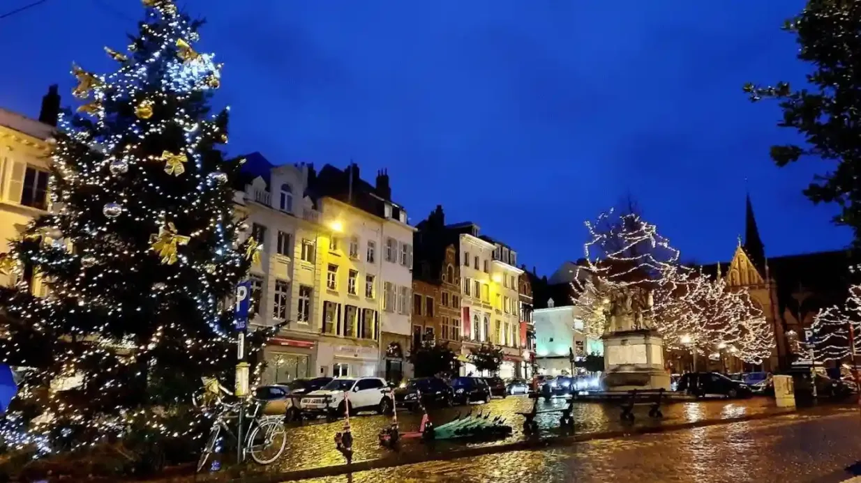 Bruxelles: Tour audio dei punti salienti della città + ingresso alla ruota panoramica The View Salta la coda