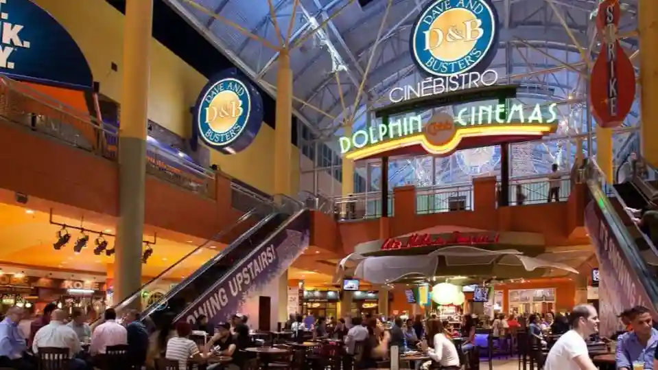 Miami: Visita guiada de la ciudad + paseo en barco por la bahía de Biscayne + visita al Dolphin Mall + traslados Operado por Gray Line Miami
