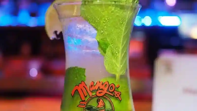Mango's Tropical Cafe South Beach: Lección de Salsa + Mojito y Aperitivos Operado por Gray Line Miami