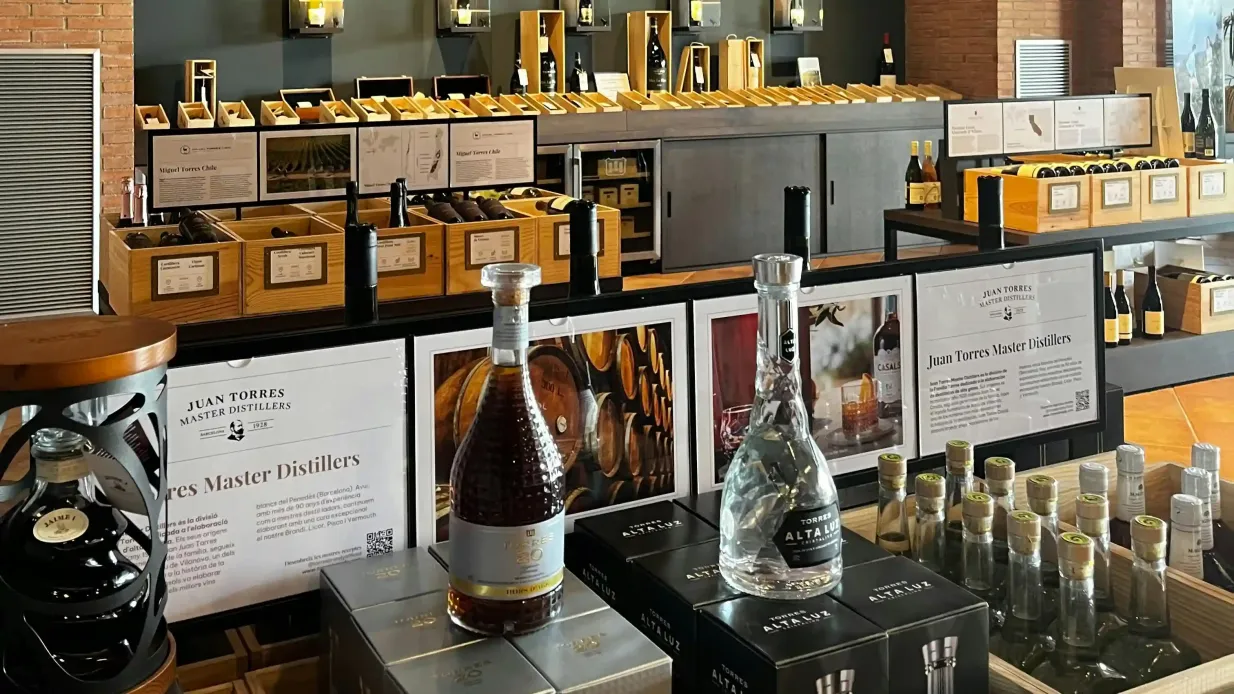 Barcellona: Tour guidato della cantina Familia Torres + degustazioni