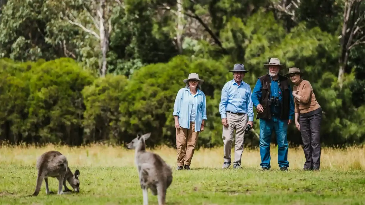 Canberra : visite guidée de la faune et de la flore + transport aller-retour Fournie par Canberra Guided Tours
