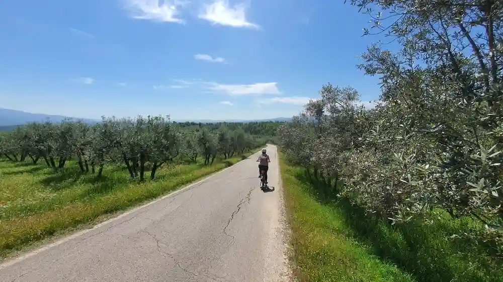 Chianti : visite guidée en E-bike + déjeuner + dégustation de vin