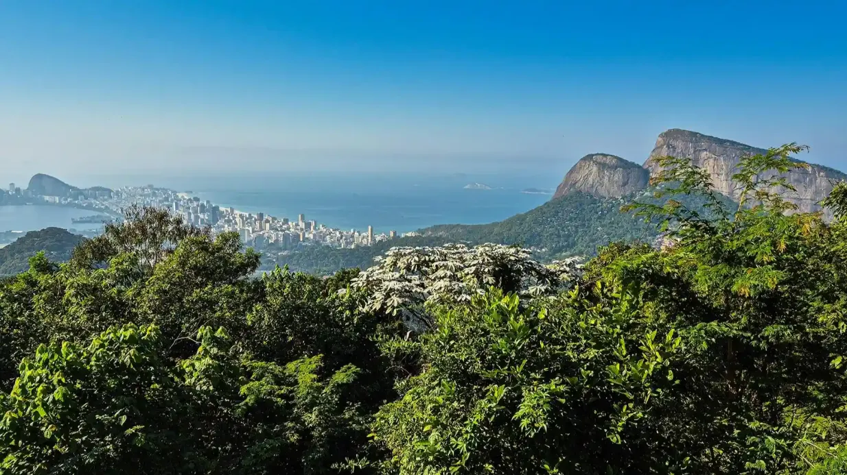 Tijuca National Park: Guided Jeep Adventure from Rio de Janeiro Provided by BRAZIL4YOU LTDA
