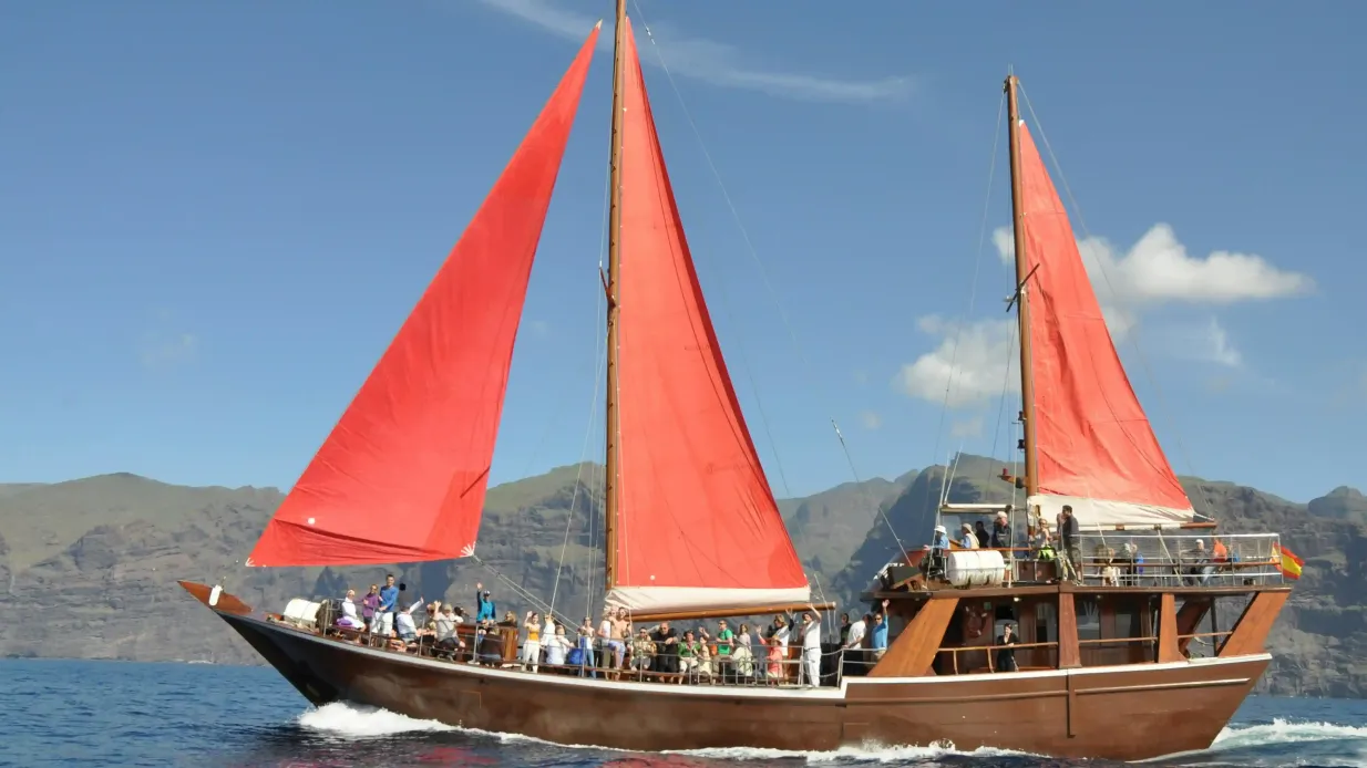 Costa Adeje: 2-Hr Guided Whale & Dolphin Watching Cruise Provided by Marítima Ludo Mar, S. L.