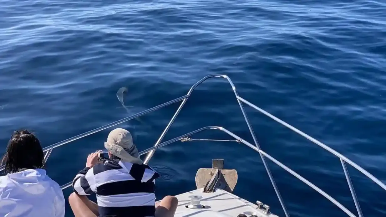 Gran Canaria: Excursión Privada en Barco de 3 Horas Operado por MOGAN SAILING TOURS SL