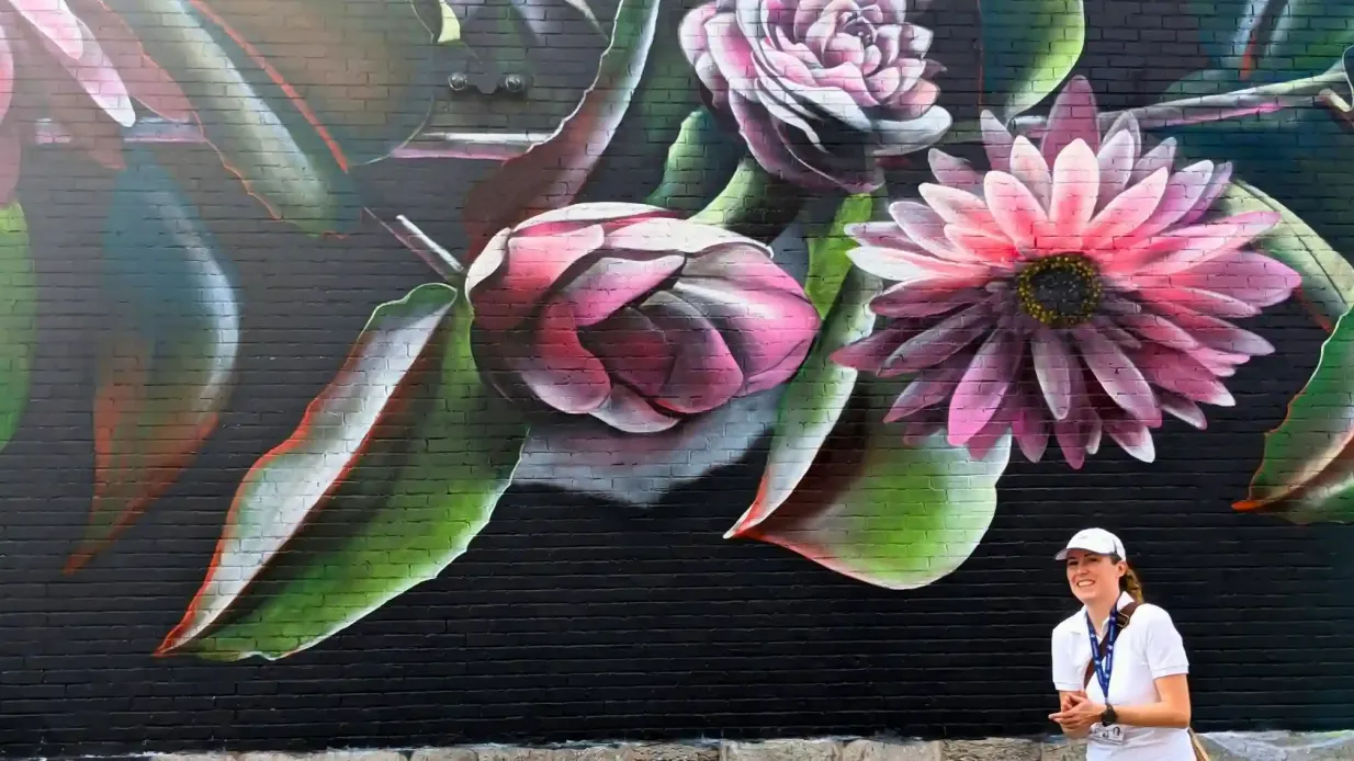 Montréal : Visite à pied des peintures murales