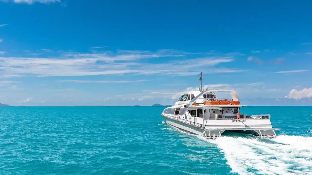 Whitsundays : Excursion en bateau Super Flyer depuis Airlie Beach + plongée en apnée Fournie par ZigZag Whitsundays
