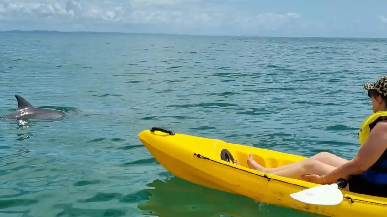 Noosa : Excursion d'une journée avec observation des dauphins, kayak de mer et aventure en 4x4 sur la plage Fournie par Epic Ocean Adventures Noosa