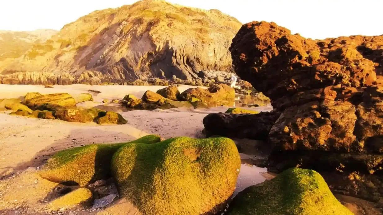 Algarve: Excursión guiada de un día en jeep 4x4 + Comida + Traslado Operado por Sagres Discovery