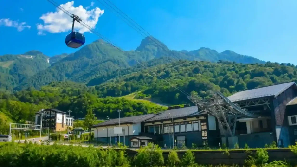 Grouse Mountain: Small Group Guided Tour + Roundtrip Transport Provided by See Sight Tours
