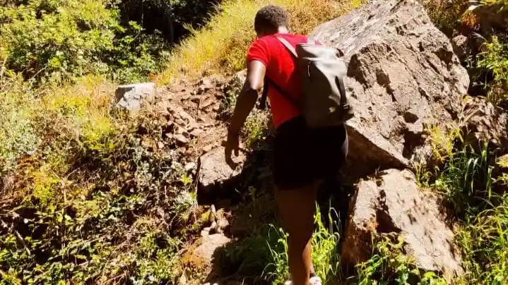 Sierra de Monchique y Lago Bravura: Excursión Guiada 4x4 de Día Completo + Traslado + Almuerzo Operado por Sagres Discovery
