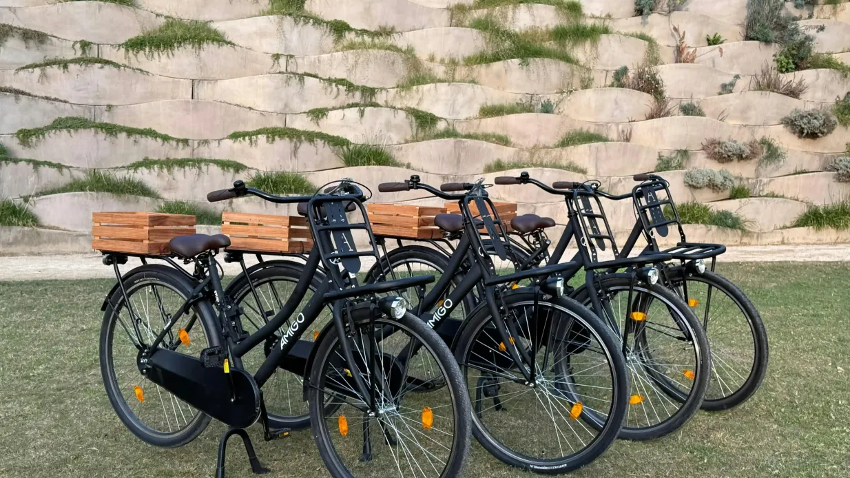 Valence : Location de vélos de ville de type hollandais "Omafiets" dans la zone de Russafa