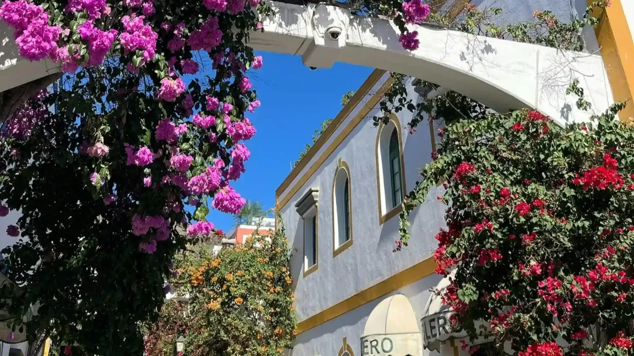 Suroeste de Gran Canaria: Visita guiada + Traslados Operado por TOURADVISOR DMC SL