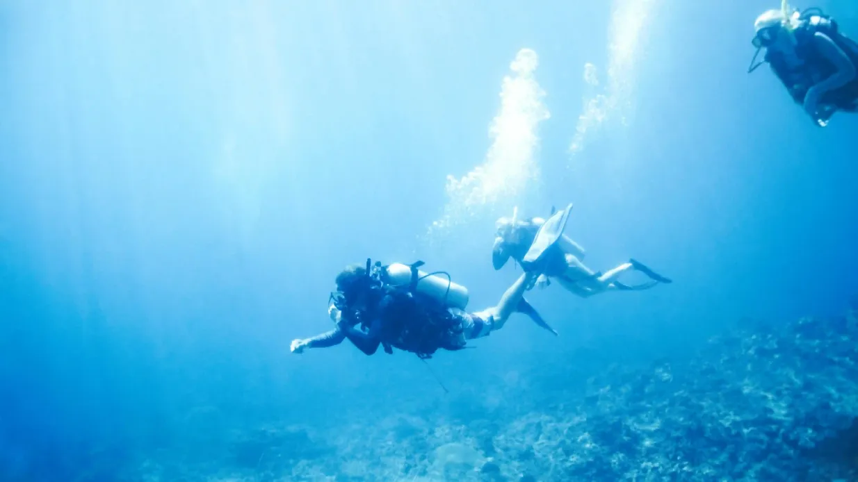 Hurghada: Avventura subacquea + trasferimenti + pranzo Fornito da Delight Trips