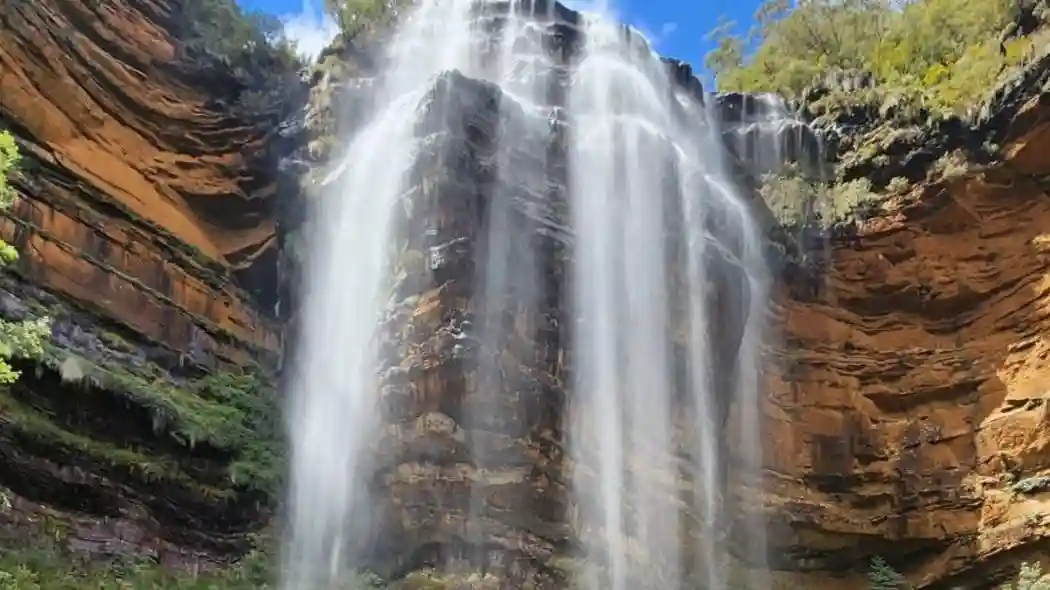 Blue Mountains: Excursão guiada de dia inteiro saindo de Sydney + caminhada na cachoeira + almoço