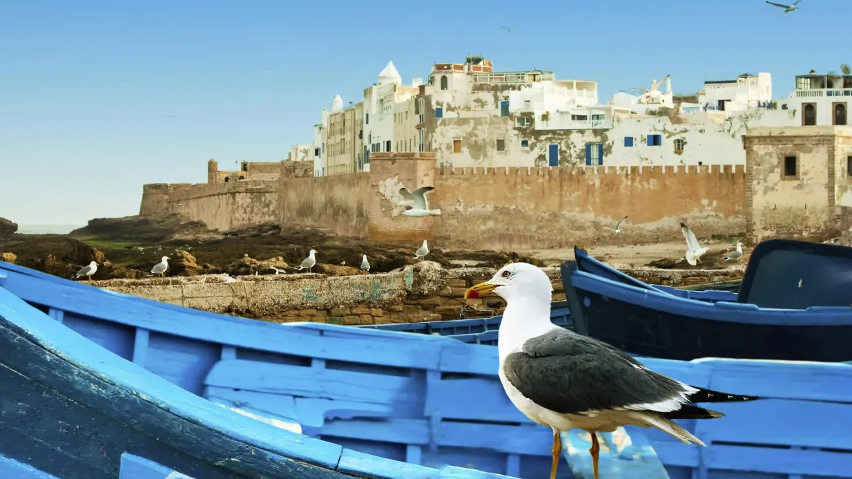 Essaouira: Excursión guiada de un día + Recogida en Marrakech Operado por Universal Travel Society - Utess Voyages