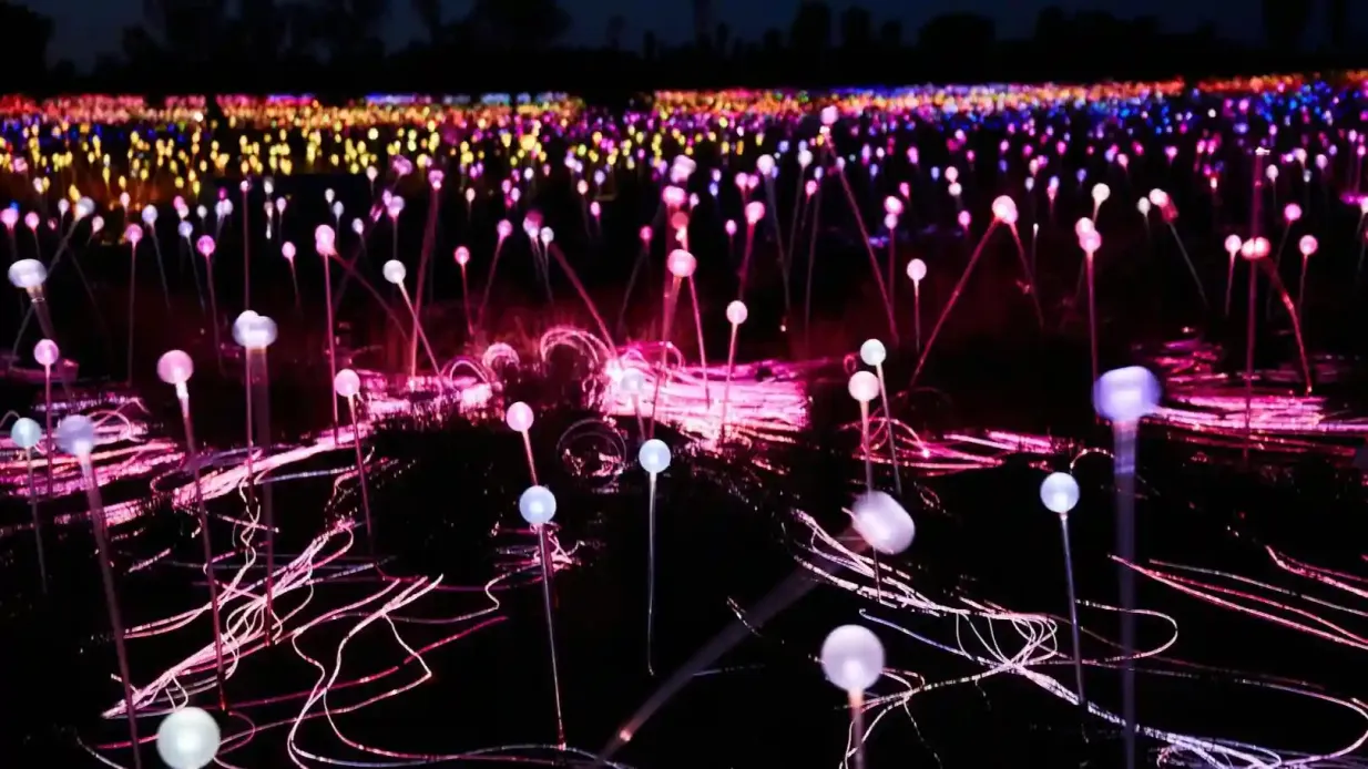 Field of Light Uluru : Excursion au lever du soleil avec boissons chaudes Fournie par AAT Kings