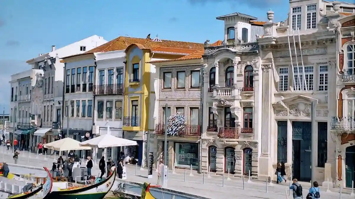 Aveiro: Half-Day Guided Tour from Porto + Boat Cruise + Pastry & Wine Tasting