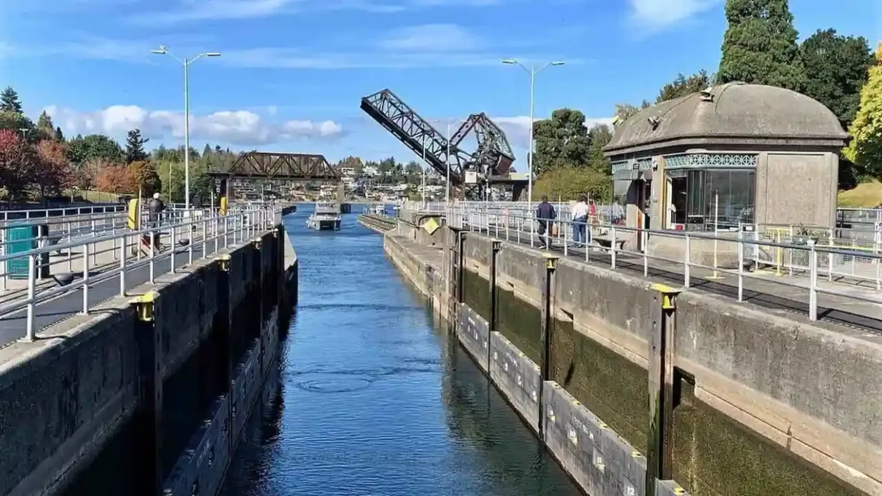 Seattle: Crucero de ida por las esclusas + Excursión en autobús Hop-on Hop-off Operado por City Sightseeing Worldwide