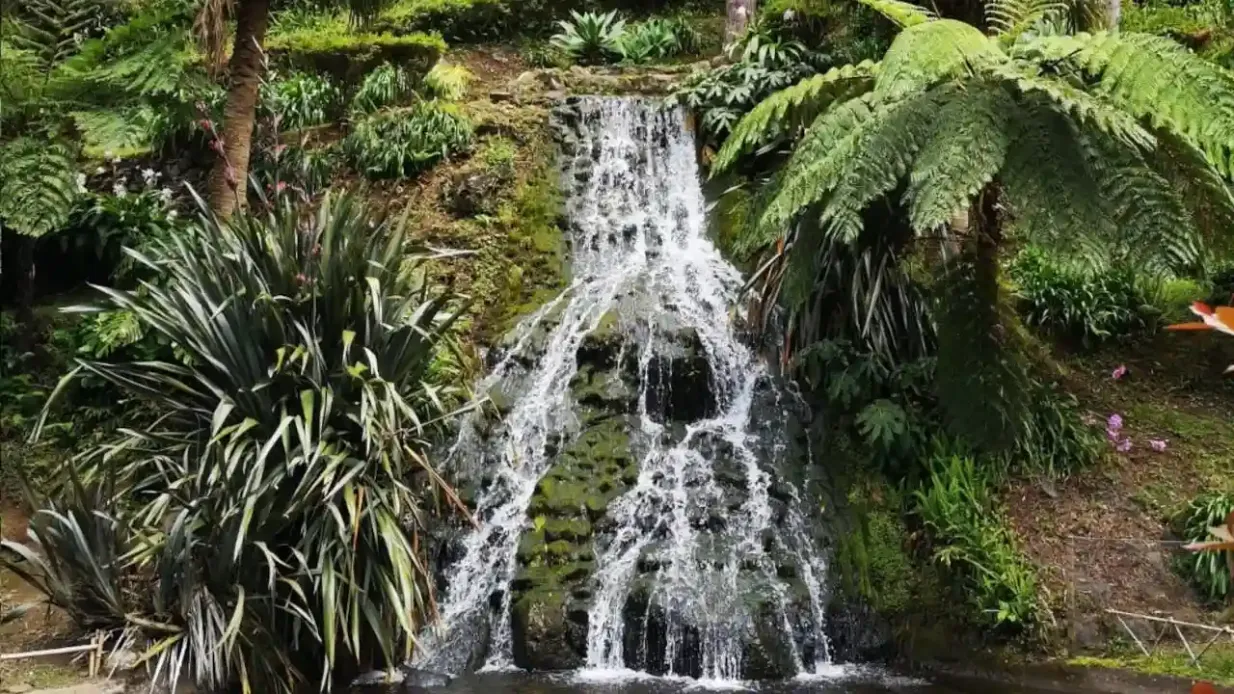 Nordeste: Recorrido Guiado por Cascadas, Aguas Termales y Miradores Operado por Prime Azores Lda