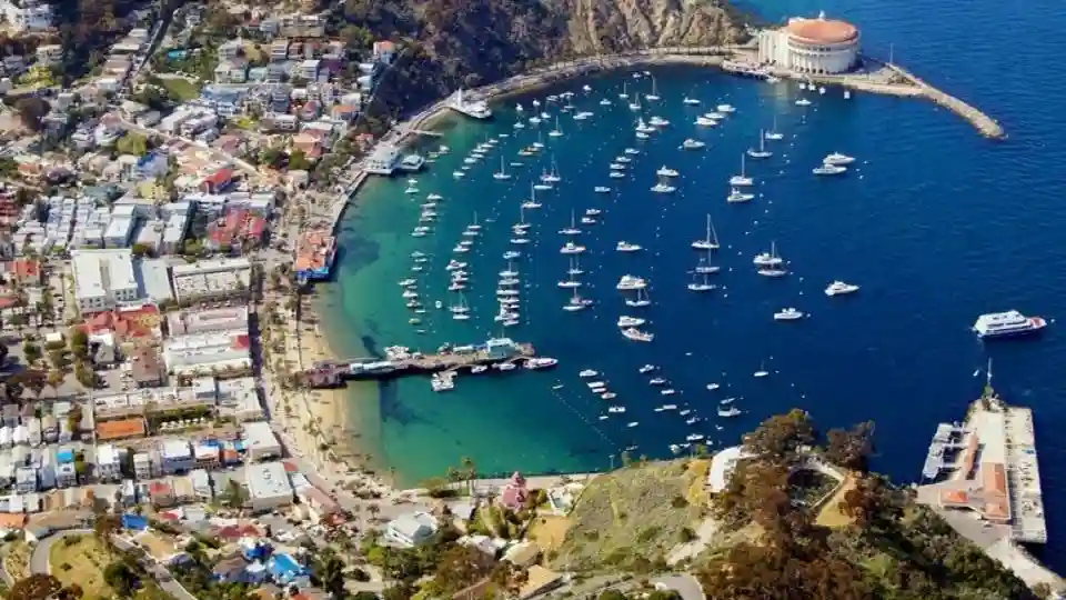 Ilha Catalina: Viagem de um dia + passeio panorâmico de carro Organizado por Extreme Tours - Karmel Shuttle