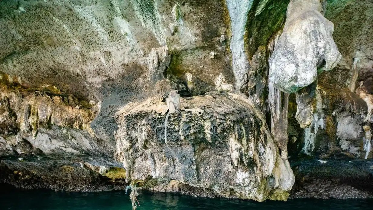 Phi Phi: Excursión de medio día de snorkel en barco de cola larga Operado por [Oh-Hoo] SiamScapeJourneys co.,ltd.