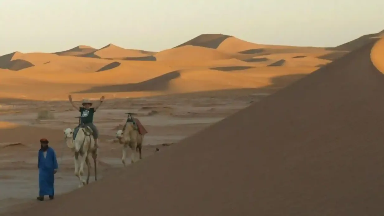 Wadi El Rayan: Safari por el desierto en 4x4, Sandboard y paseo en camello desde El Cairo o Giza Operado por Black Camel Tours