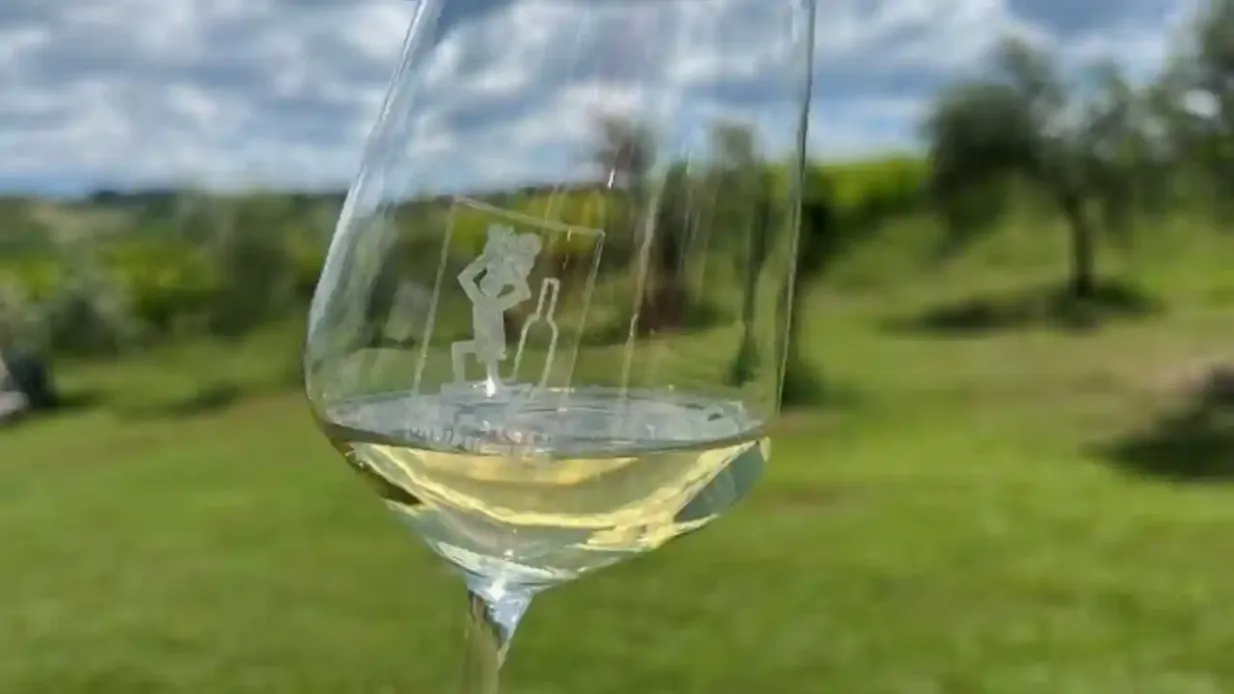 Tenuta La Viola: Guided Tour and Wine Tasting Provided by ARCADIA EMME VIAGGI SRL
