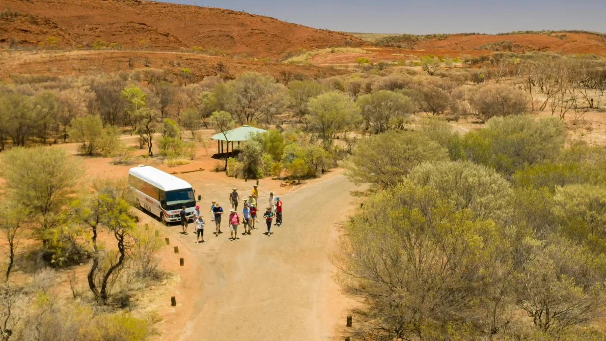 West MacDonnell Ranges : Visite guidée + transfert aller-retour + déjeuner Fournie par Emu Run Experience