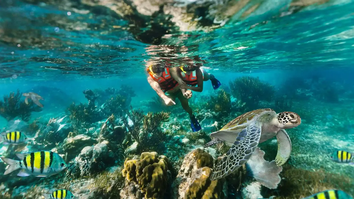 Puerto Morelos Reef : Aventure de plongée avec masque et tuba avec déjeuner sur la plage