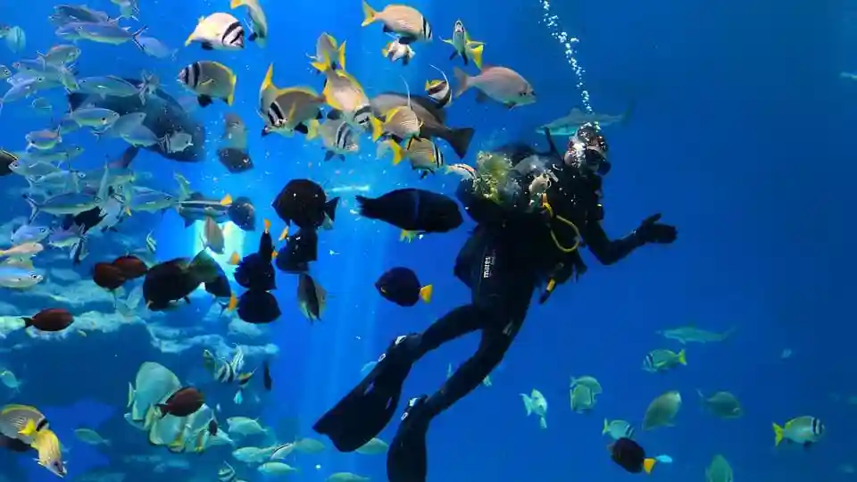 Hurghada: Passeio de submarino com traslado de ida e volta